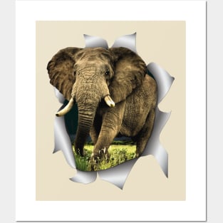 African Elephants Posters and Art